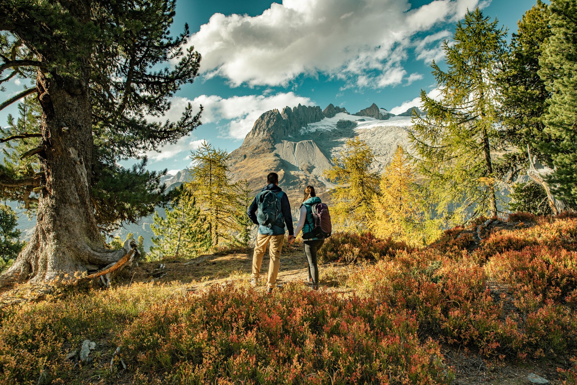 wandern-herbst-riederalp-sommer-aletsch-arena-10