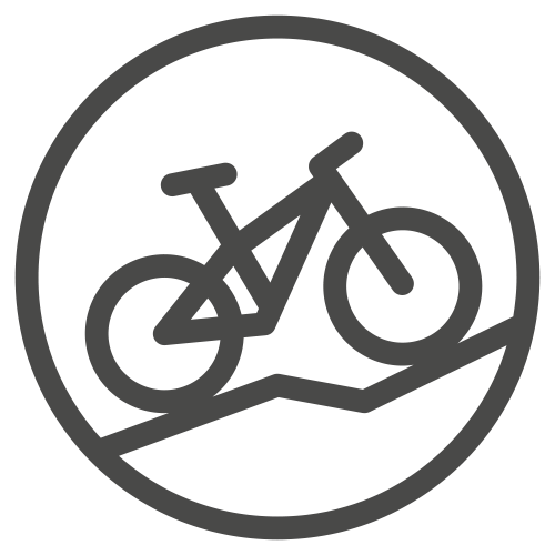 Icon-Bike-grau