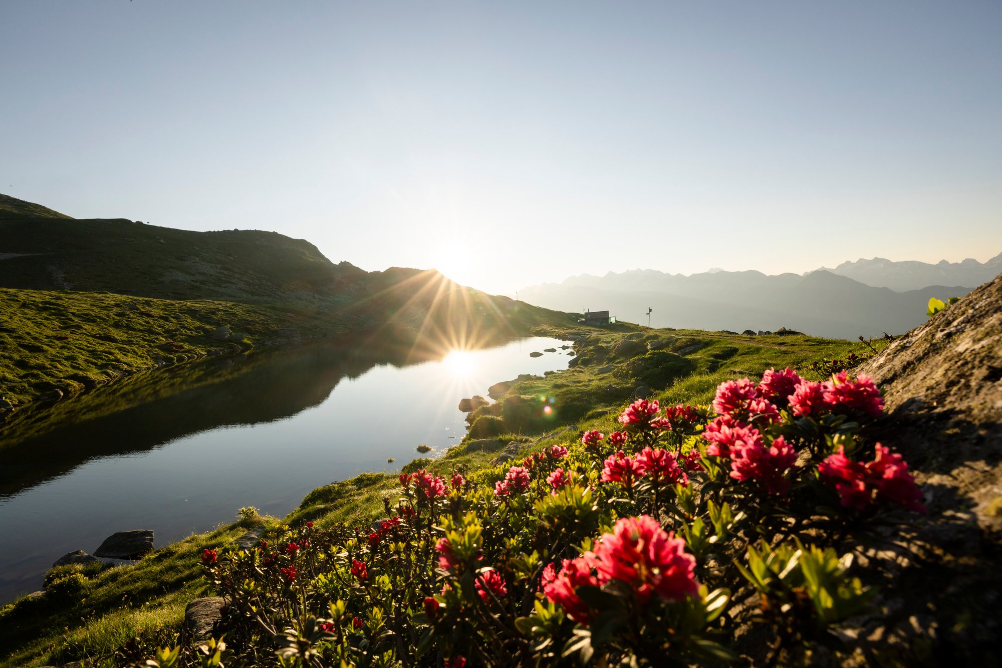 natur-wasser-bettmeralp-sommer-aletsch-arena-benjamin-weissen-14